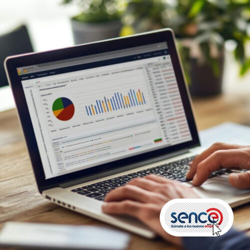 Excel Básico (presencial)